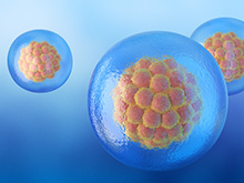 Advanced Blastocyst Culture & Transfer in Uttam Nagar, Delhi